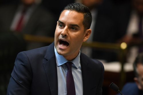 Independent MP Alex Greenwich said the lower house and people across the state had sent a clear message that it was time to decriminalise abortion.