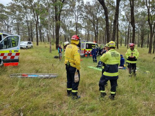 A 24-year old skydiver has suffered spinal injuries after crashing into a tree while landing from a skydive.