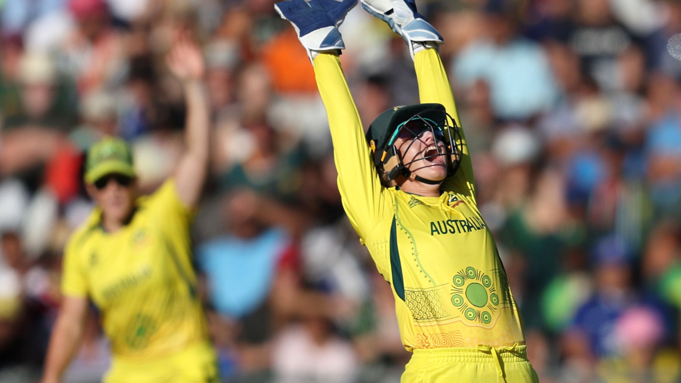 Alyssa Healy successfully appeals for lbw of South Africa&#x27;s Laura Wolvaardt during the ICC Women&#x27;s T20 World Cup final.