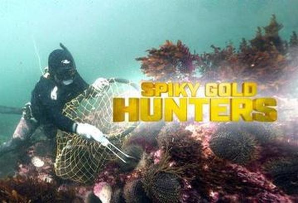 Spiky Gold Hunters