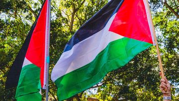 Protesters gather for a pro Palestine rally at Hyde Park, Sydney.