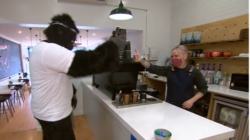 Hammo the gorilla lifting spirits in regional Victoria during lockdown 4.0