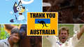 Ukraine's tongue-in-cheek video message to Australia
