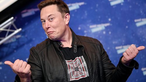 SpaceX owner and Tesla CEO Elon Musk poses on the red carpet 