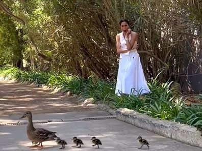 Meghan Markle shared video of ducks crossing the road for Easter