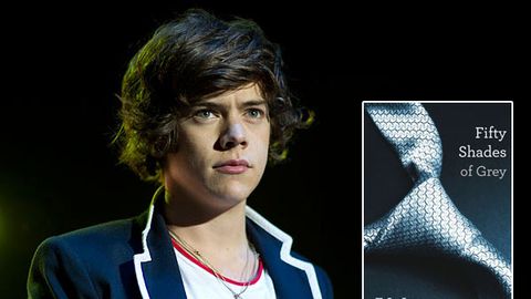 One Direction's Harry Styles finds Fifty Shades of Grey 'educational'