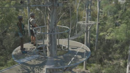 News Queensland Brisbane Mt Cooth-tha Zipline Project scrapped City Council