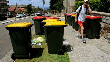 Council opts to send recyclables straight to landfill