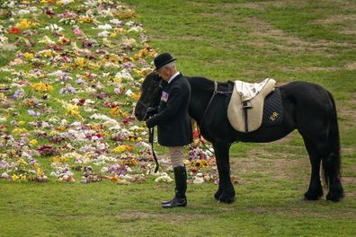 Emma, the monarch's fell pony, stands as the Ceremonial Procession of the coffin of Queen Elizabeth II arrives at Windsor Castle for the Committal Service at St George's Chapel, England, Monday, Sept. 19, 2022. (Aaron Chown/Pool photo via AP)