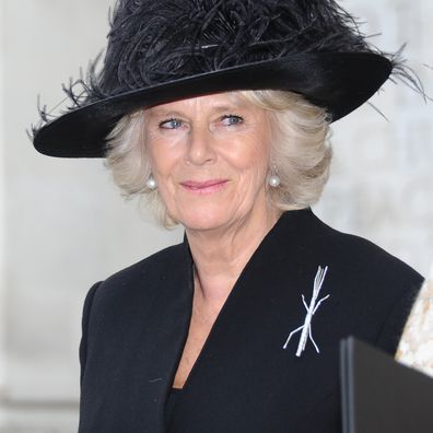 LONDON, ENGLAND - NOVEMBER 20: Camilla, Duchess Of Cornwall attends a service of thanksgiving for Lady Soames at Westminster Abbey on November 20, 2014 in London, England.  (Photo by Stuart C. Wilson/Getty Images)