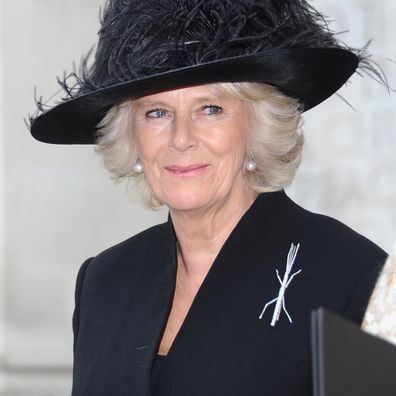 LONDON, ENGLAND - NOVEMBER 20:  Camilla, Duchess Of Cornwall attends a service of thanksgiving for Lady Soames at Westminster Abbey on November 20, 2014 in London, England.  (Photo by Stuart C. Wilson/Getty Images)