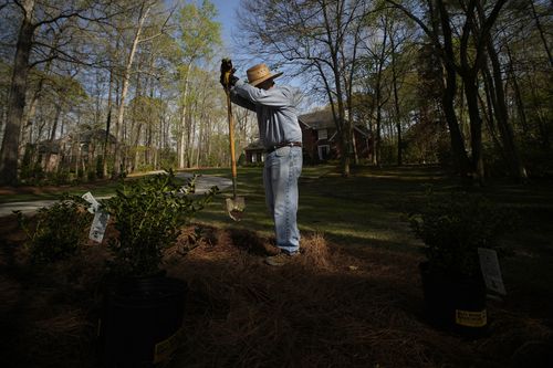 T.J. Rauls plants rosebushes in his yard in Georgia. While digging the holes, Rauls unearthed a periodical cicada nymph and named it Bobby.