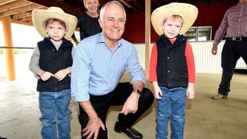 Malcolm Turnbull at a sweet potato farm in Central Queensland yesterday. (AAP)