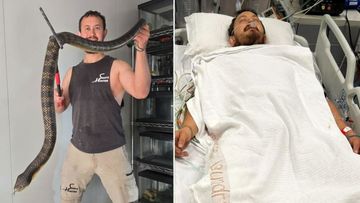 'I shouldn't be alive': Melbourne man ﻿survives bite from venomous snake