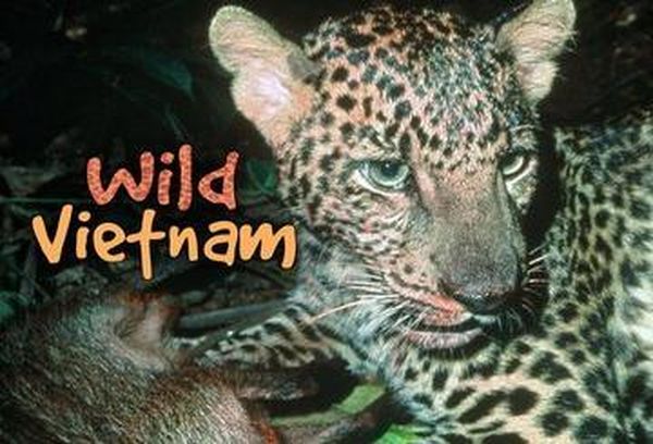 Wild Vietnam