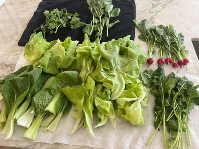 balcony gardening