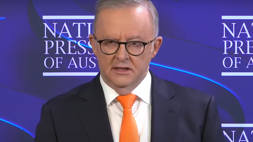 Prime Minister Anthony Albanese said 9News US Correspondent Lauren Tomasi had been targeted when she was shot by a rubber bullet while covering intensifying protests over mass immigration raids and arrests in Los Angeles. ï»¿
