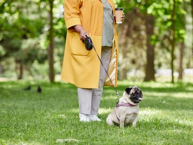 woman walking cute pug dog on leash in green park