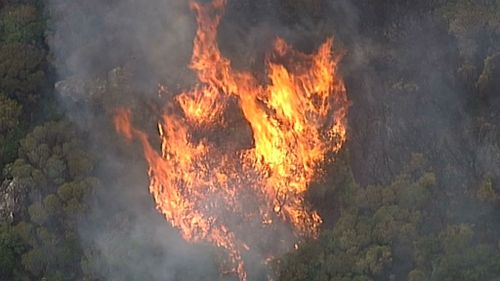 The bushfire is burning in a remote region. (9NEWS)