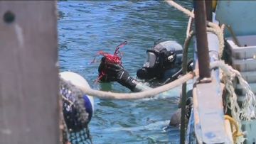 The woman whose body was found floating in Fremantle Harbour yesterday has been identified as a 25-year-old from the Perth suburb of Koongamia.Police divers have pulled several items from the water where the woman was discovered around 5am yesterday.