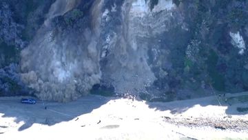 A cliff partially collapsed Friday in Palos Verdes Estates, California.  MS 18863918