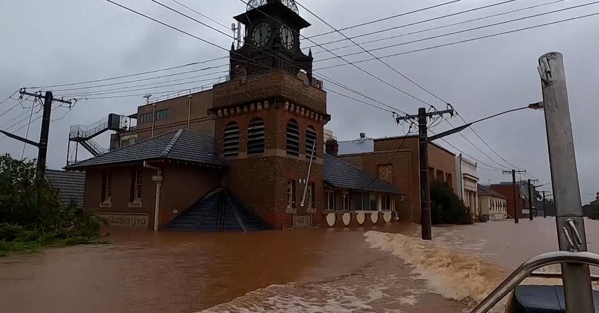 Flood devastated Northern Rivers schools face years before recovery – 9News