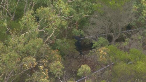 Police said "new information" had led them to the Royal National Park.