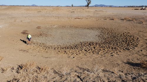 More than 15 percent of NSW is in intense drought. (Facebook)