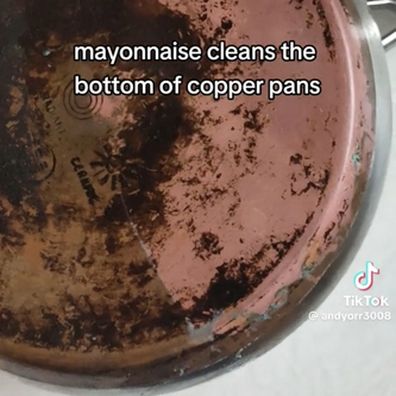 Mayo Pot from TikTok/ andyorr3008