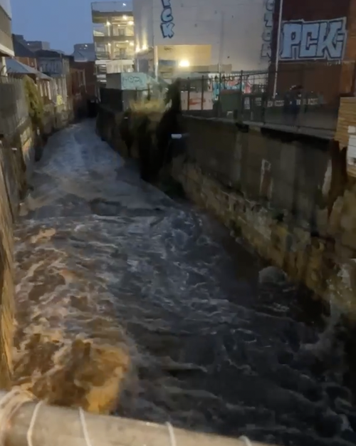 Hobart Rivulet was a raging torrent this morning. 