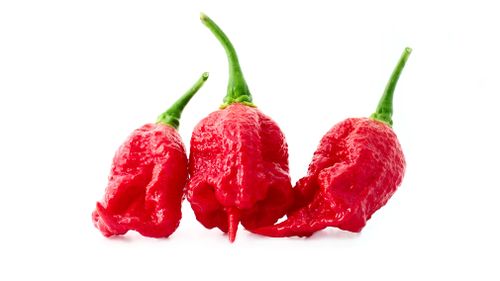 Medical doctors believe the condition, known as RCVS, has never before been linked to the consumption of chilli peppers such as the Carolina Reaper. Picture: Getty.