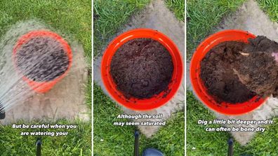 Gardener Joe Clark shares a hack for watering pot plants thoroughly