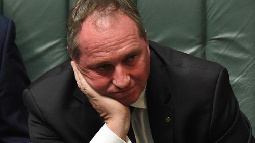 Deputy Prime Minister Barnaby Joyce. (AAP)