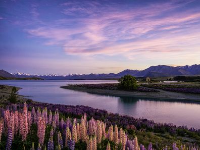 Lake Tekapo at dawn, New Zealand South Island.