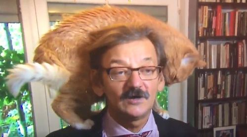 Mr Targalski's cat stole the show when he was interviewed last week. Image: Twitter