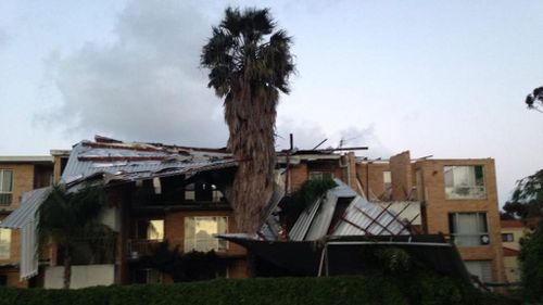 PHOTOS: 10,000 without power as 100km/h winds lash Perth