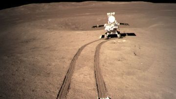 China&#x27;s lunar rover leaves wheel marks after leaving the lander that touched down on the surface of the far side of the moon earlier this year.