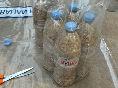 The brown substance inside the Evian water bottles tested positive for MDMA and ketamine.