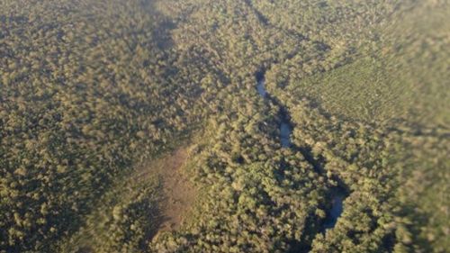 Mr Keys spent hours stumbling through the thick bush land of Jardine National Park in north Queensland.(Motopangaea.com)