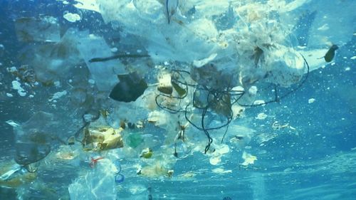 New advertising campaign by NSW government about plastic pollution ahead of single-use ban.