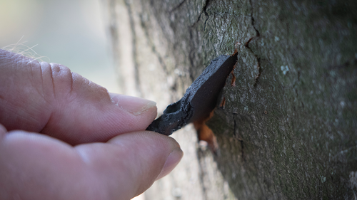 A police officer inspects a fragment of a Russian rocket stuck in a tree trunk about 300 meter from the epicentre of the Russian deadly rocket attack at a shopping centre in Kremenchuk in Poltava region, Ukraine, Tuesday, June 28, 2022. (AP Photo/Efrem Lukatsky)