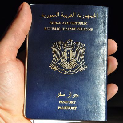 Syrian passport - $840