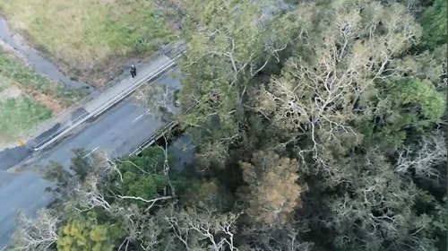 Matthew was left with serious head injuries in the middle of the road.