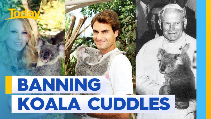 Aussie sanctuary makes bold move to stop koala cuddles | Nine.com.au