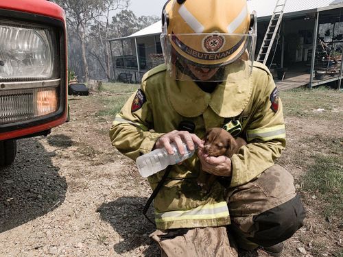 Fire crews are working around the clock to tackle numerous blazes across Queensland's central coast.