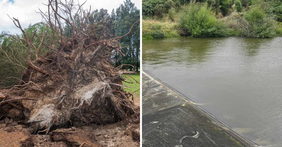 One man dead, tens of thousands without power as storms batter New Zealand