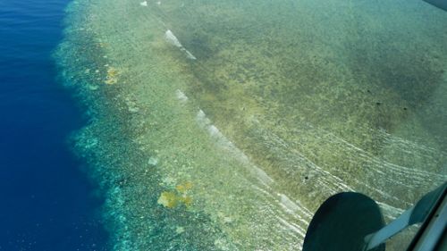 The historic bleaching has thrust the beloved Barrier Reef into "uncharted territory." (Supplied) 