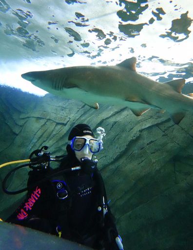 Diver with sharks at Shark Dive Xtreme at Sea Life Sydney Aquarium