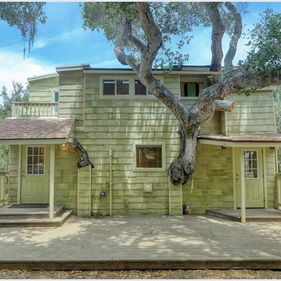 This $5.4 million tree house is baffling the internet