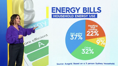 Effie Zahos broke down the average household energy use.